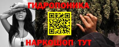 гидра Бузулук