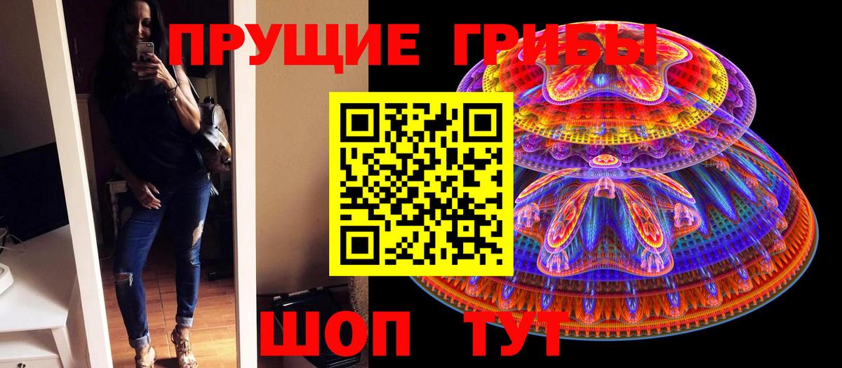 Ступино  Псилоцибиновые грибы Psilocybe  Вход с VPN  Псилоцибиновые грибы Psilocybine cubensis 